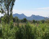 ALPILLES 15' d'Eygalières superbe et vaste Mas dépendances et 2 piscines